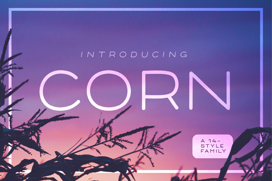 Corn