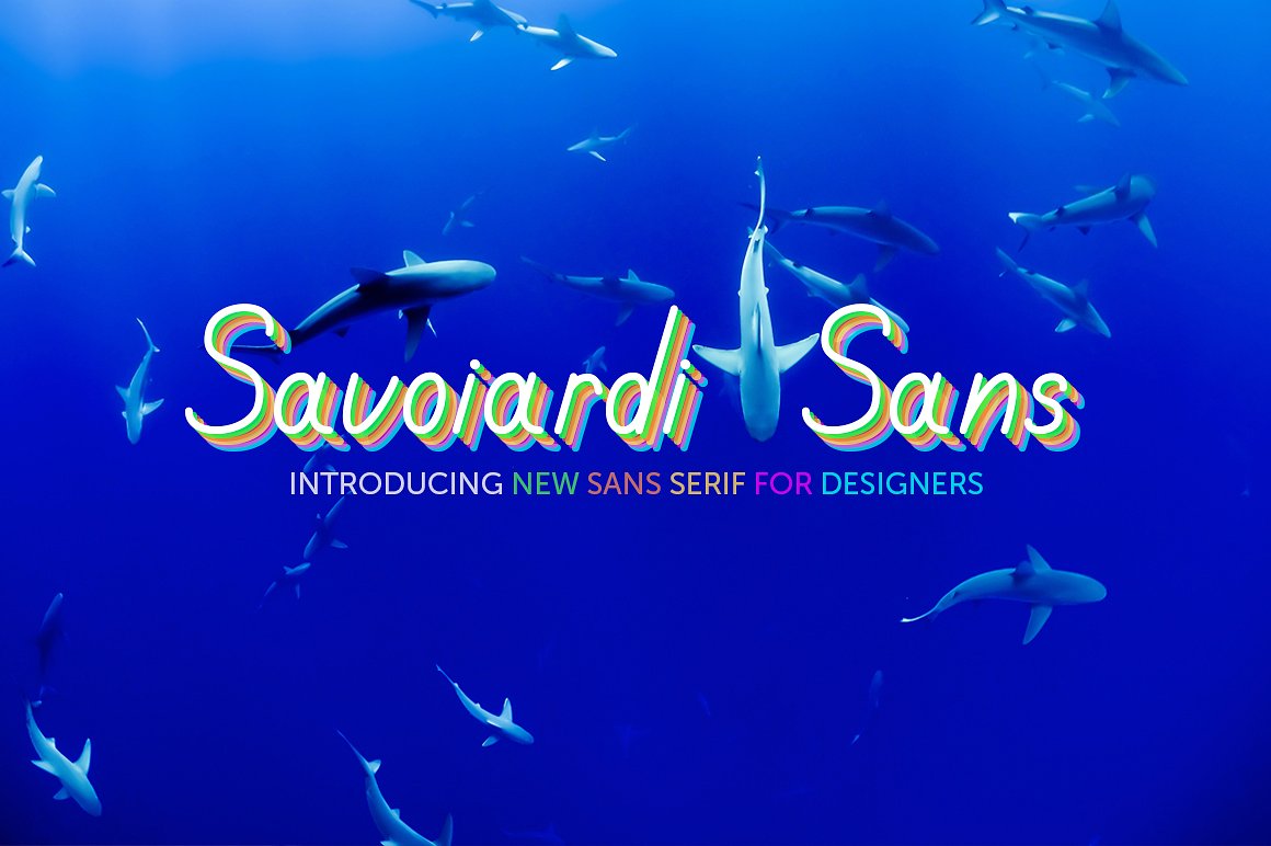 Savoiardi Display