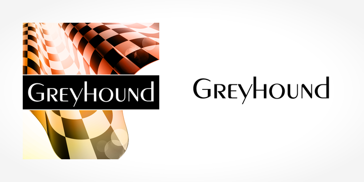 Greyhound