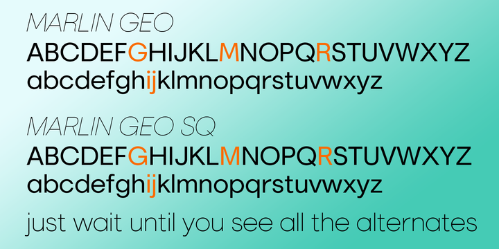 Marlin Geo