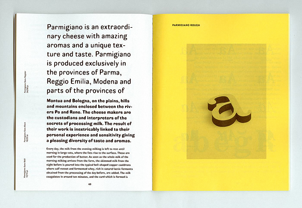 Parmigiano Caption Pro