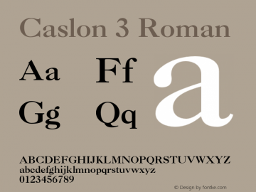 Caslon 3