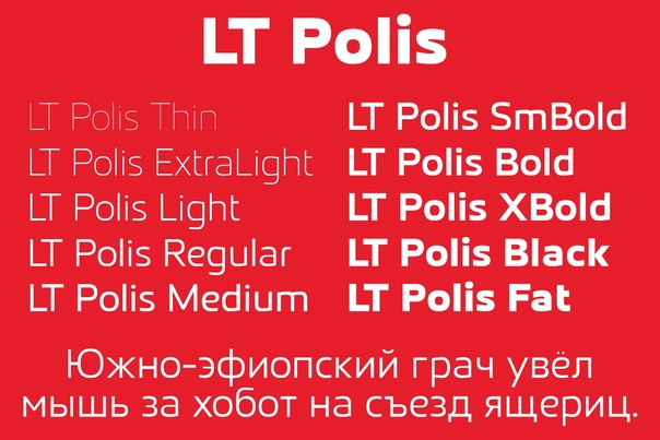 LT Polis