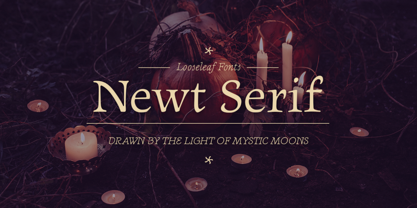 Newt Serif