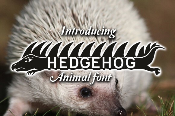 Hedgehog